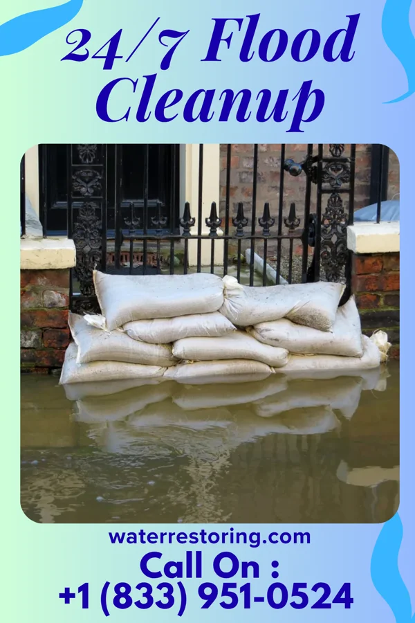 24/7 Flood Cleanup in West Concord, MN