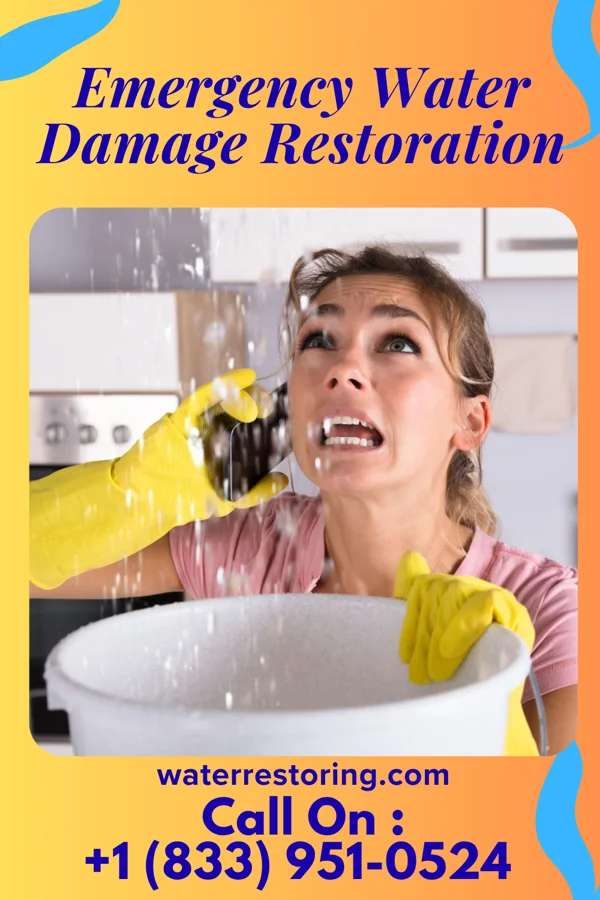 Emergency Water Damage Restoration in West Concord, MN