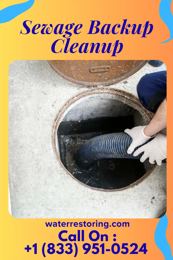 Sewage Backup Cleanup in West Concord, MN